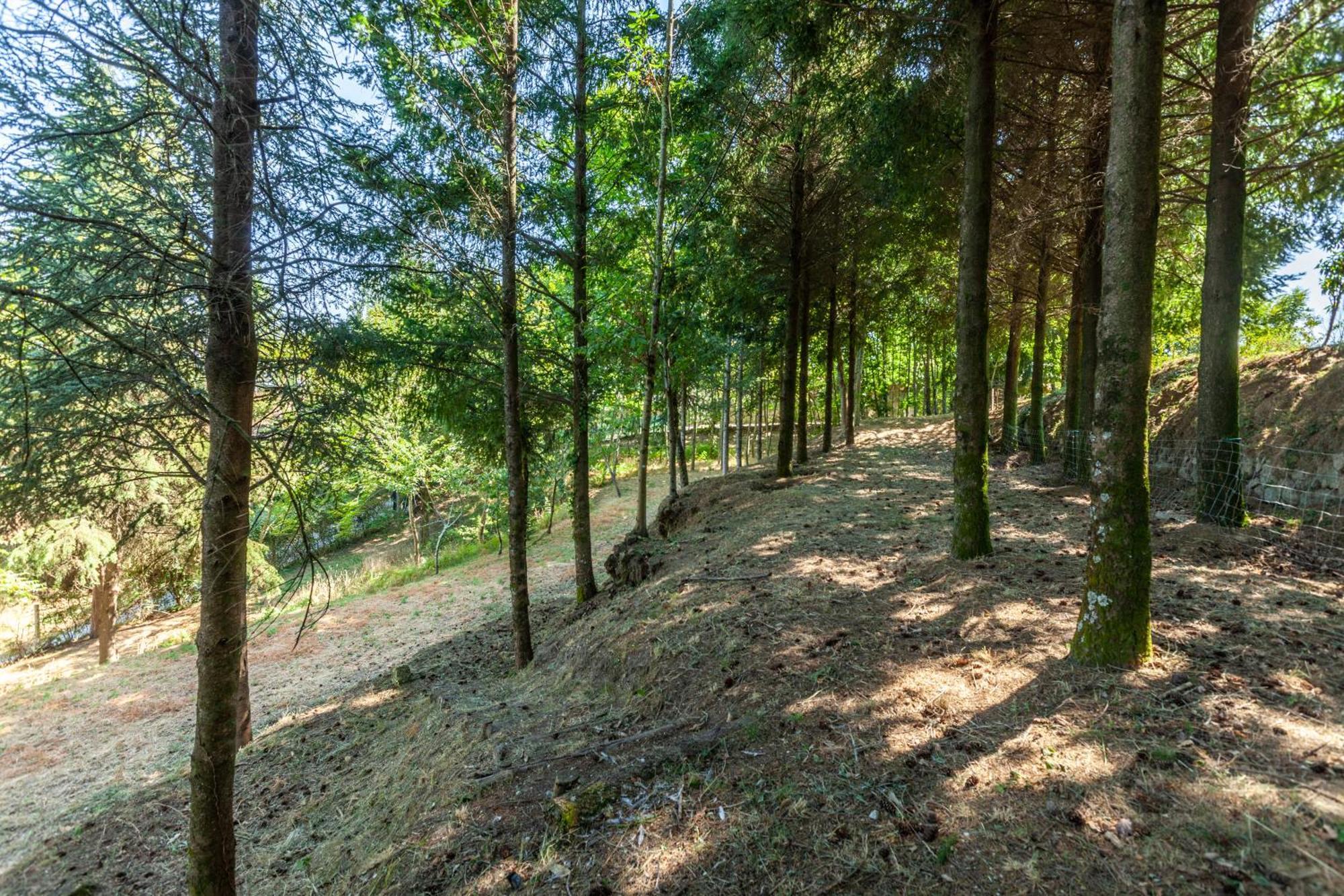 Villas Prendal Eco Living - Minho'S Guest Guimaraes Ngoại thất bức ảnh